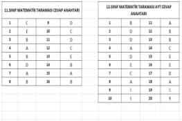 11 - 12.Sınıf Tarama Cevap Anahtarları (10.02.2026)